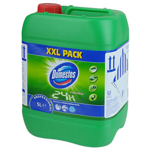 Domestos Professional Kiefernfresh 5 Liter